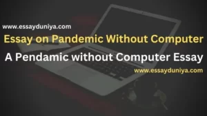 Essay on Pandemic Without Computer
