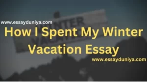 How I Spent My Winter Vacation Essay