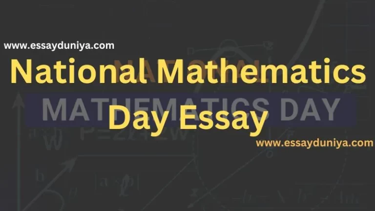 National Mathematics Day Essay