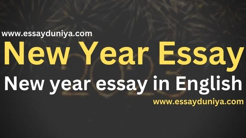 New Year Essay in English