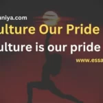 Our Culture Our Pride Essay