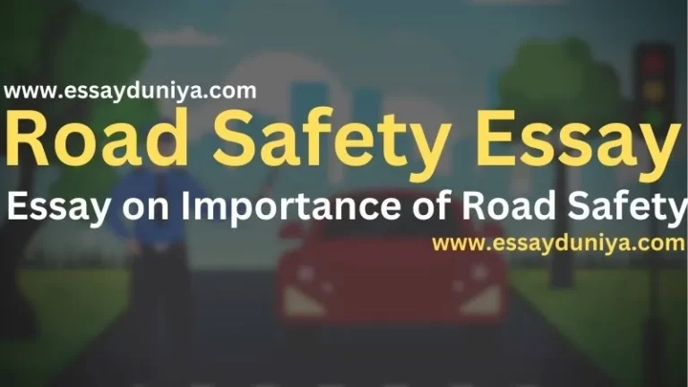 Road Safety Essay in English