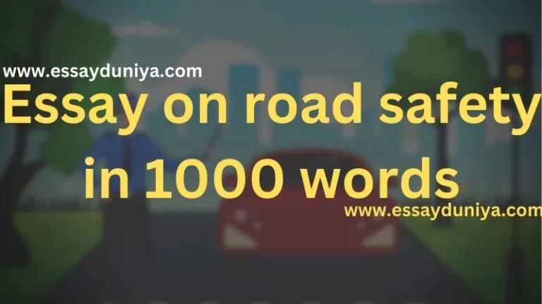 Essay on Road Safety in 1000 Words