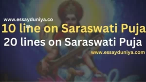 Saraswati Puja Essay 10 Lines