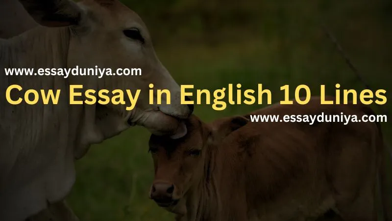 Cow Essay in English 10 Lines