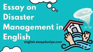 Essay on Disaster Management in English