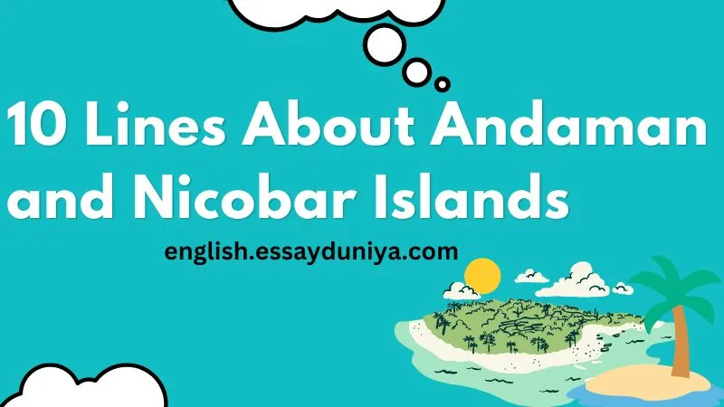 essay on culture of andaman and nicobar islands