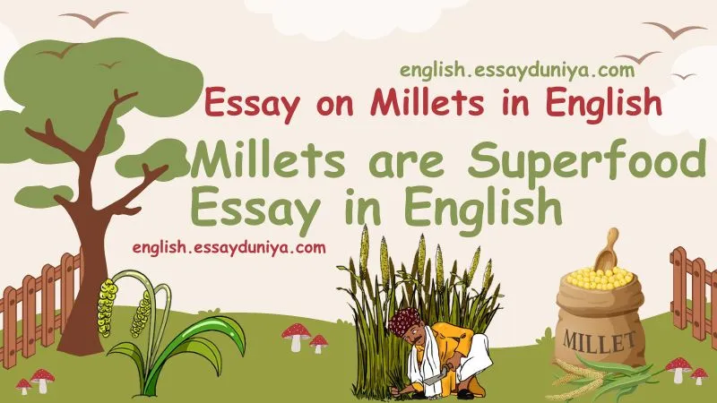Millets are Superfood Essay in English