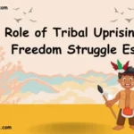 Role of Tribal Uprisings in Freedom Struggle Essay